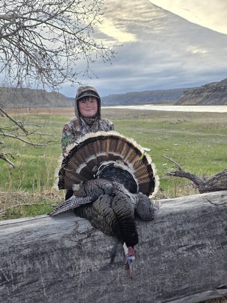 Turkey 2