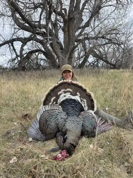 Turkey 4