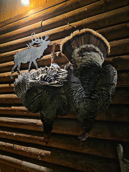 Turkey 10