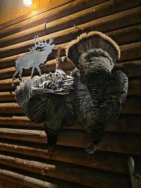Turkey 10