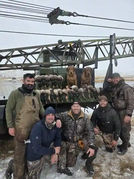 Waterfowl 4