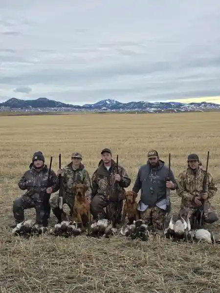 Waterfowl 5