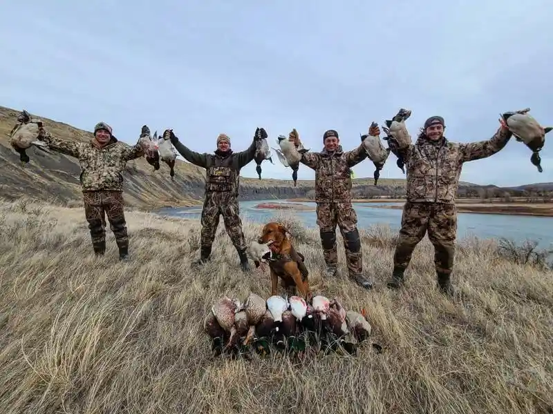 Waterfowl 9