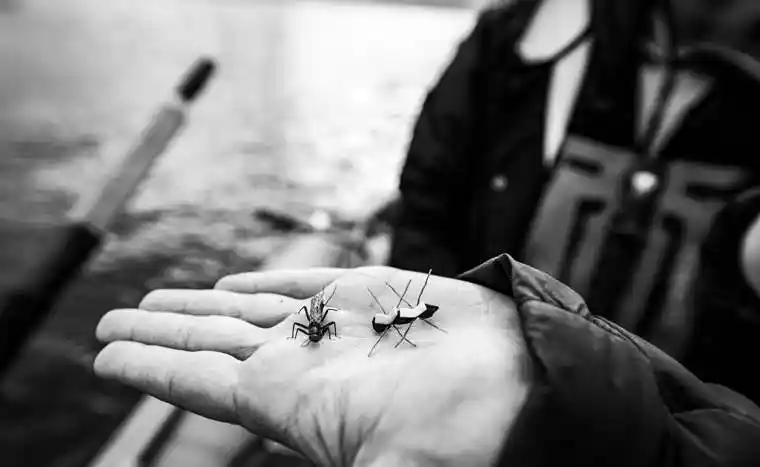 Fly Fishing 9