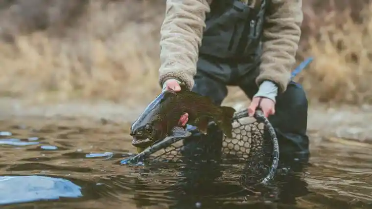 Fly Fishing 10