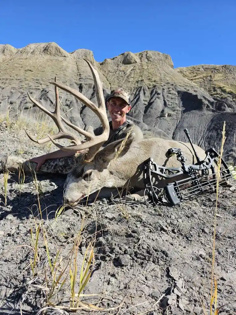 Mule Deer 1