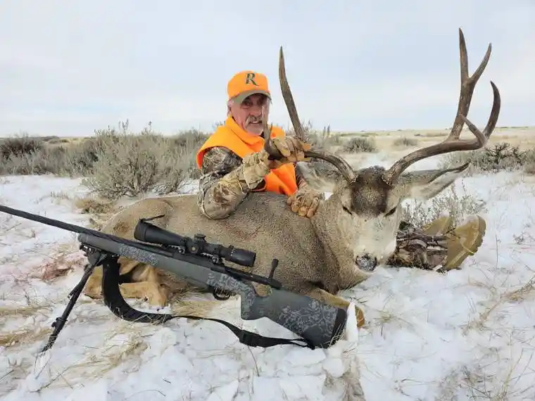 Mule Deer 5