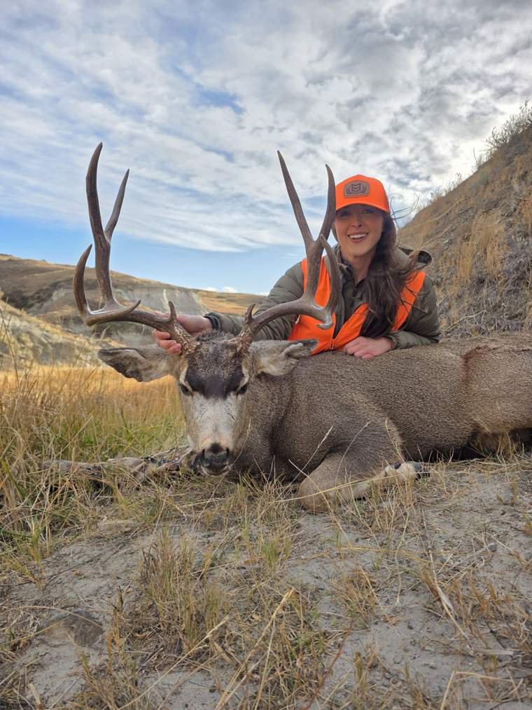 Mule Deer 6