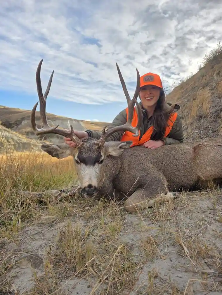 Mule Deer 6
