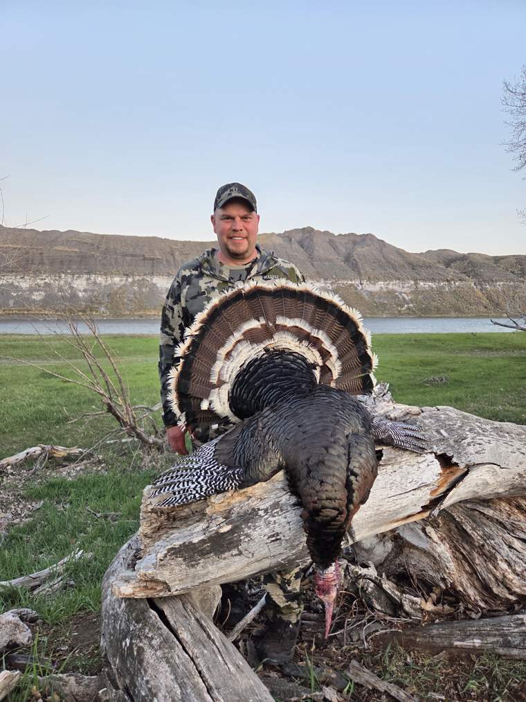 Turkey 3