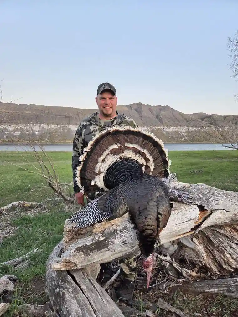 Turkey 3
