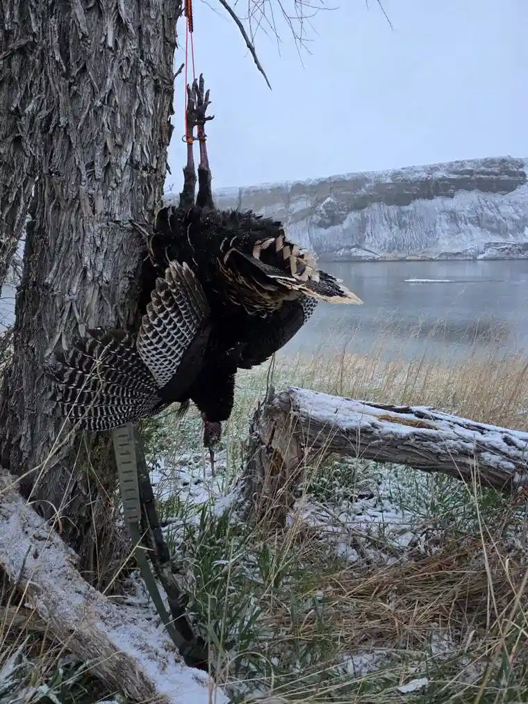 Turkey 10