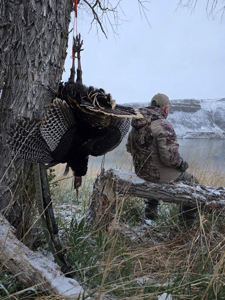 Turkey 12