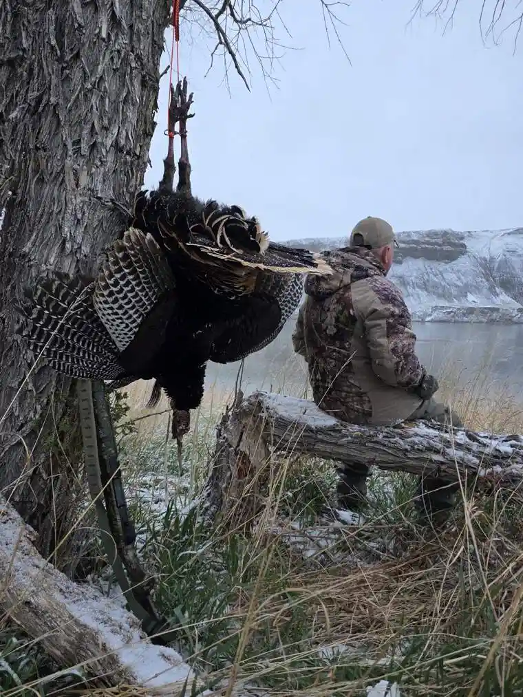 Turkey 12