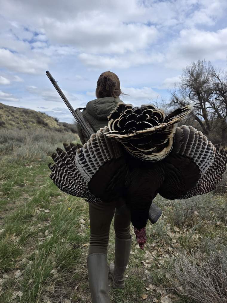 Turkey 15