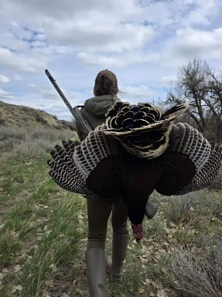 Turkey 15