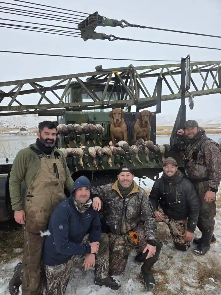Waterfowl 18