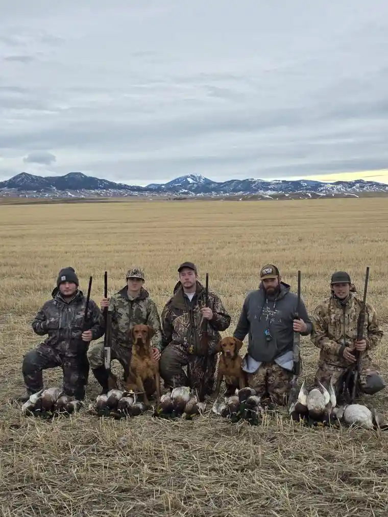 Waterfowl 19