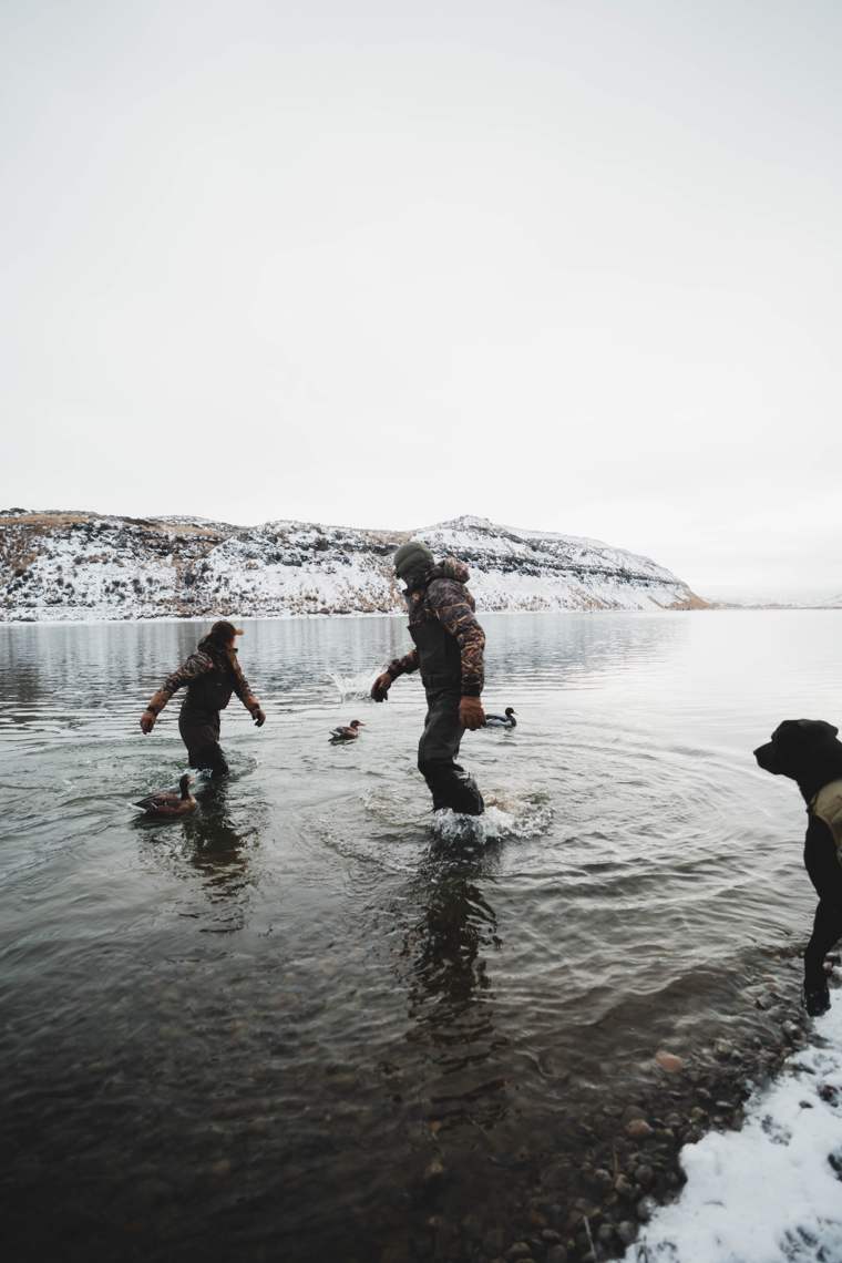 Waterfowl 22