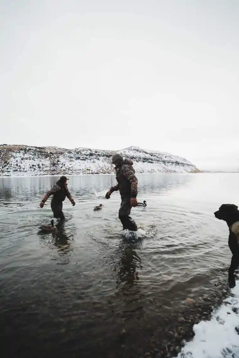 Waterfowl 22