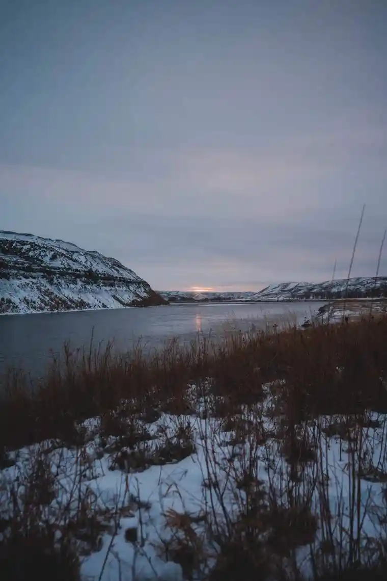 Waterfowl 23