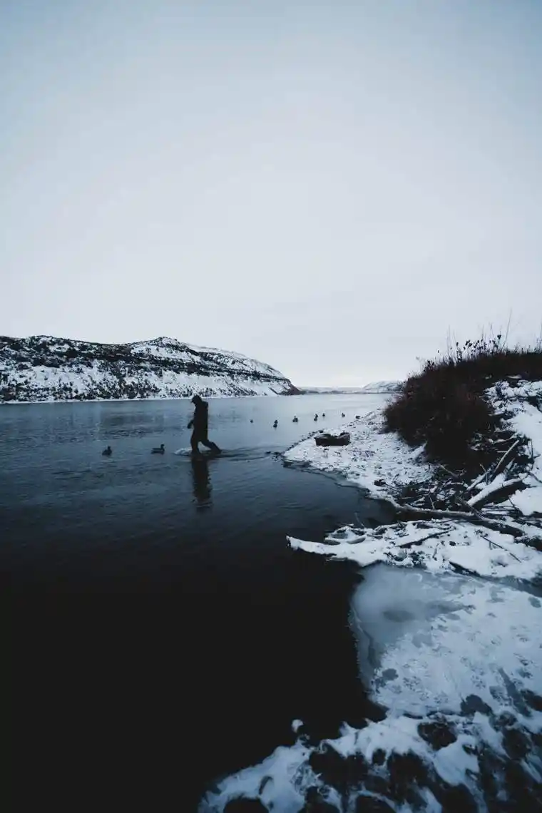 Waterfowl 25