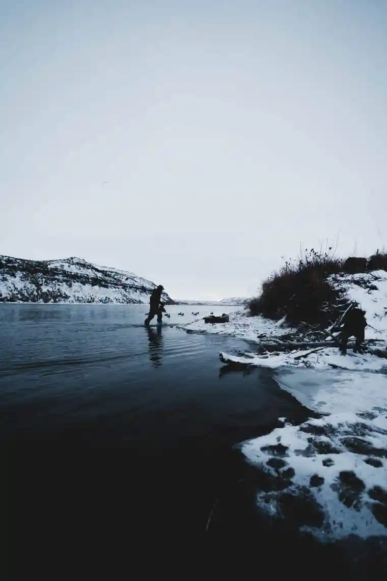 Waterfowl 26