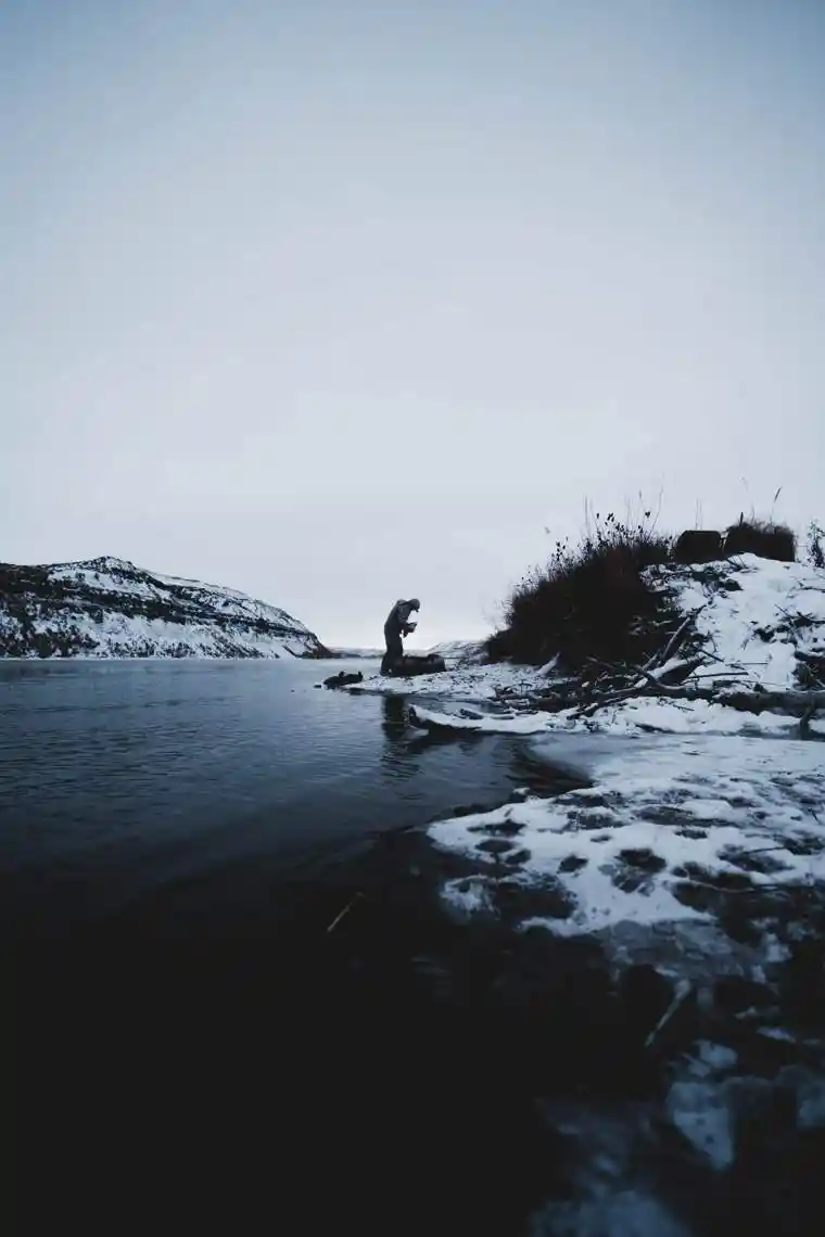 Waterfowl 28