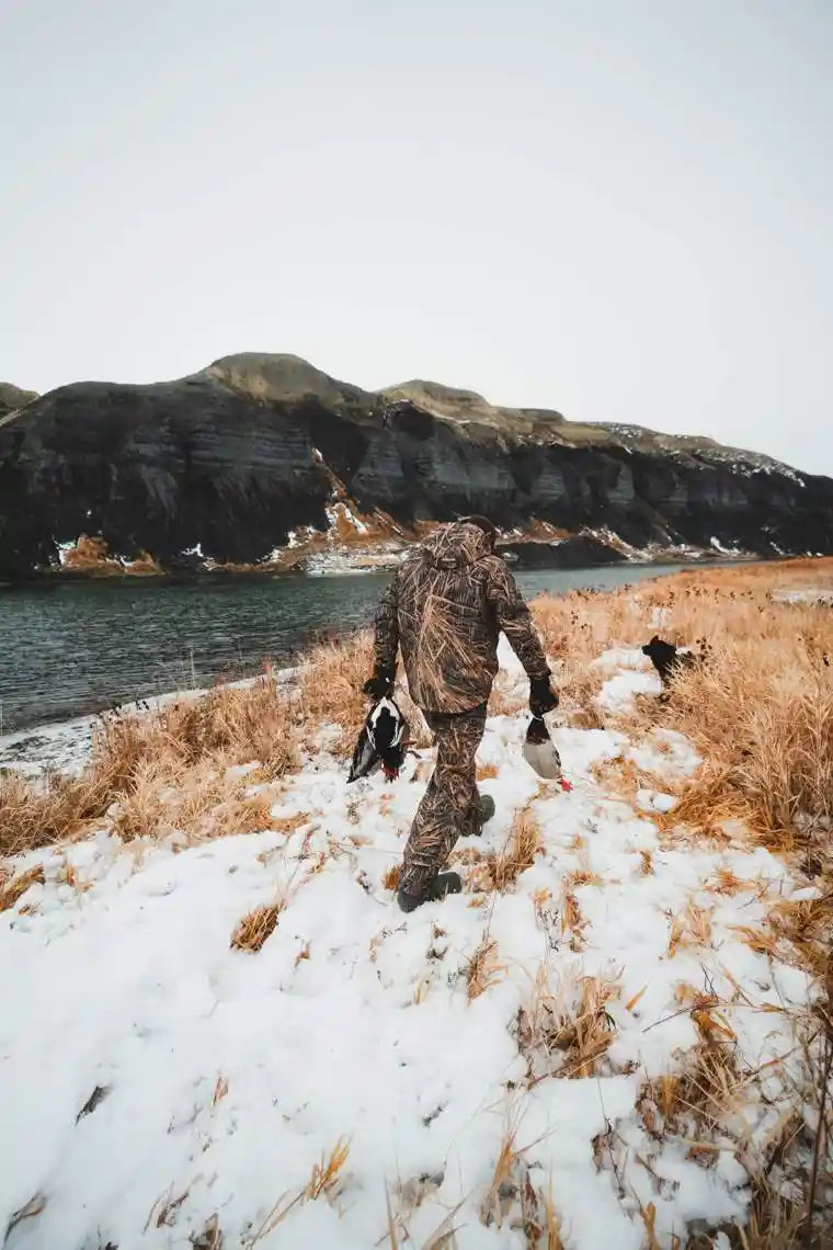 Waterfowl 38