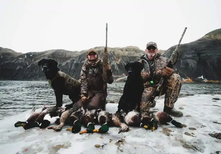 Waterfowl 39