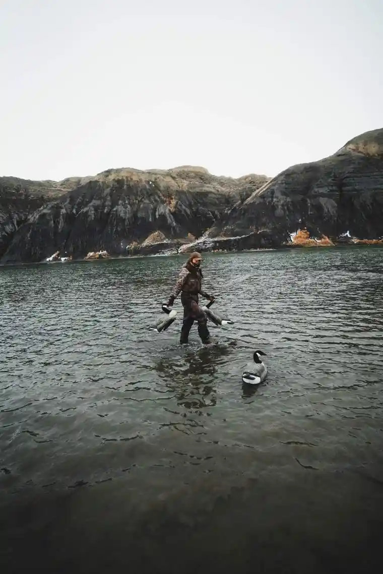 Waterfowl 45