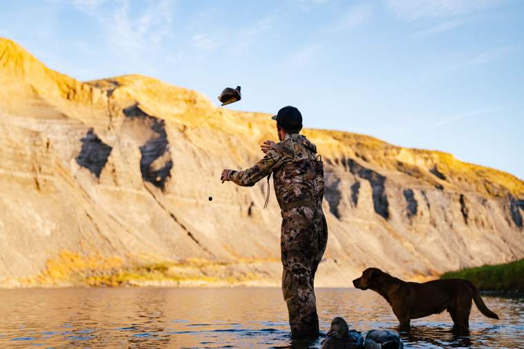 Waterfowl 53