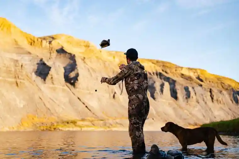 Waterfowl 53