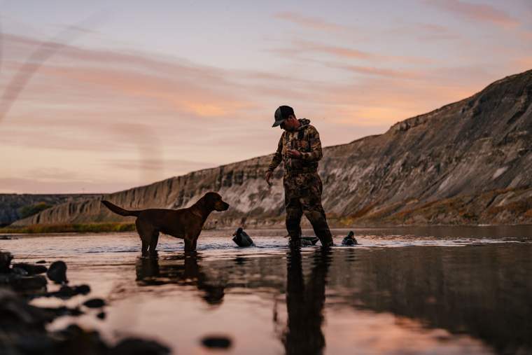 Waterfowl 55