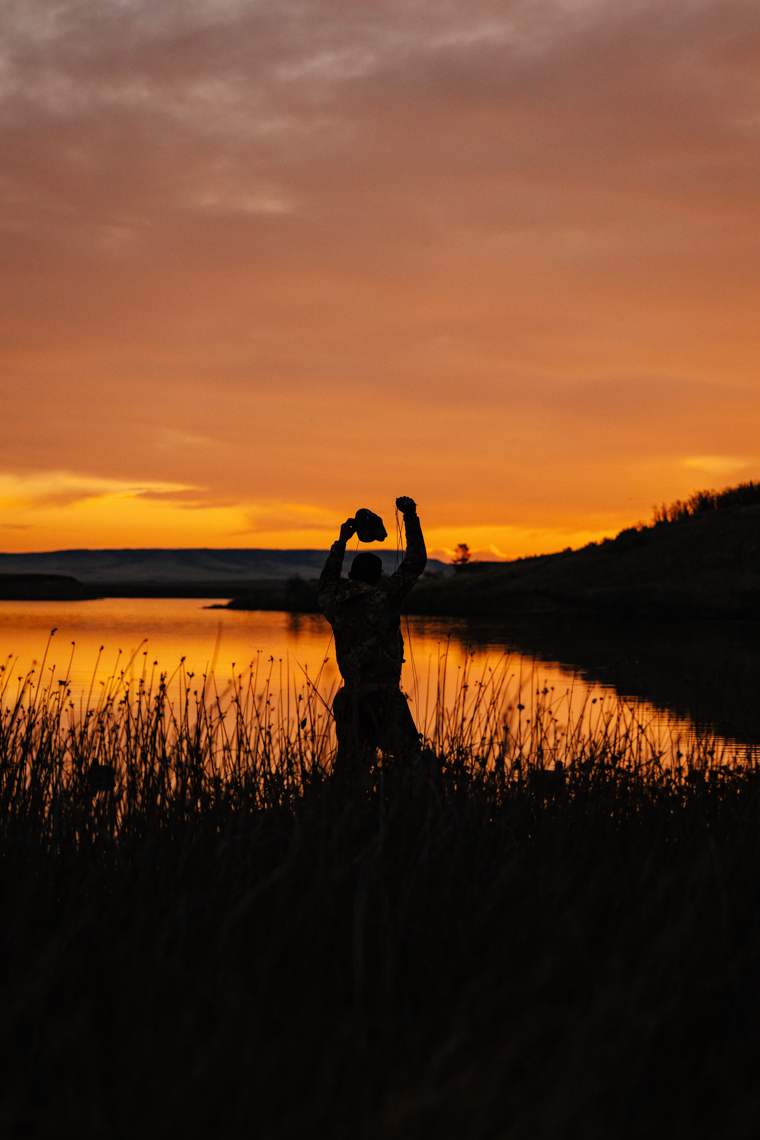 Waterfowl 56