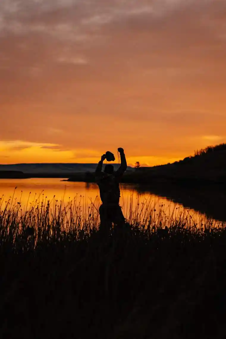 Waterfowl 56