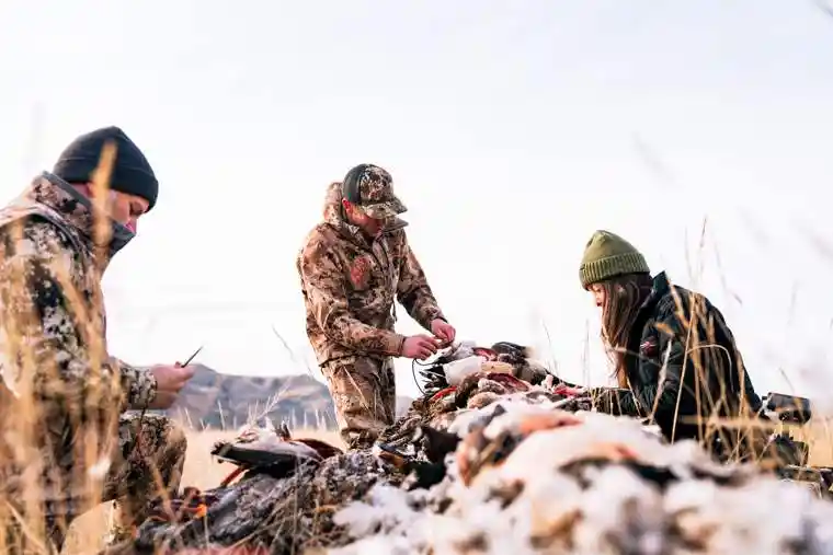 Waterfowl 61
